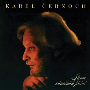 Strom vánočních přání