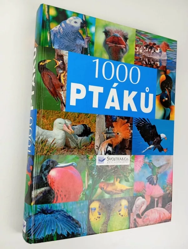 1000 ptáků