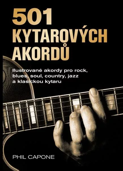501 kytarových akordů - Ilustrované akordy pro rock, blues, soul, country, jazz a klasickou kytaru