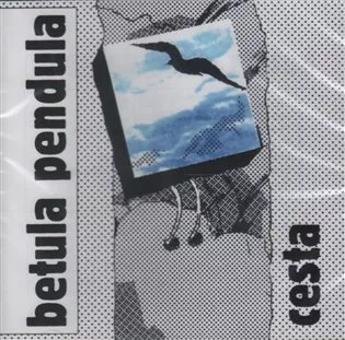 Cesta