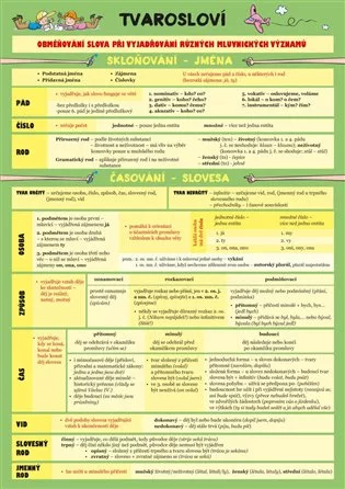 Český jazyk – Tvarosloví