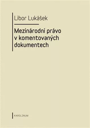 Visegrádská skupina a její vývoj v letech 1991-2004