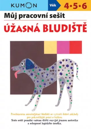 Můj pracovní sešit  Úžasná bludiště