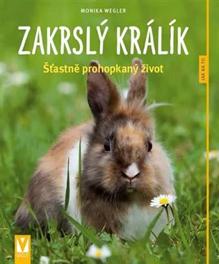 Zakrslý králík: Šťastně prohopkaný život - Jak na to
