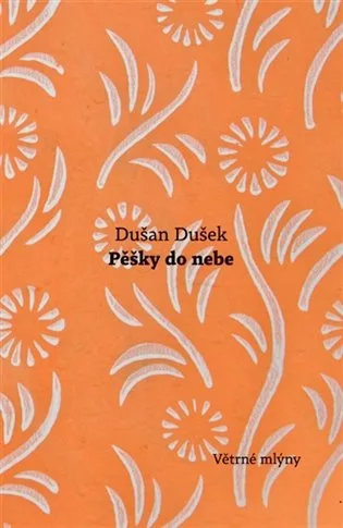 Pěšky do nebe