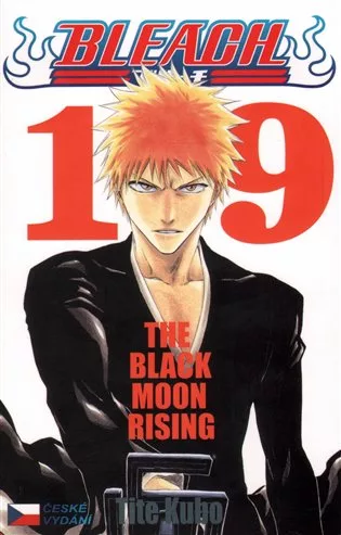 Bleach 19-The Black Moon Rising