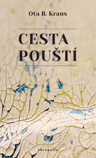 Cesta pouští