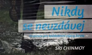 Nikdy se nevzdávej - Inspirace pro každodenní výzvy života