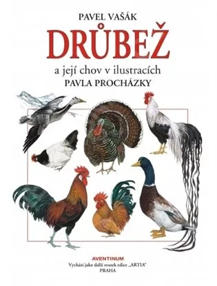 Drůbež a její chov