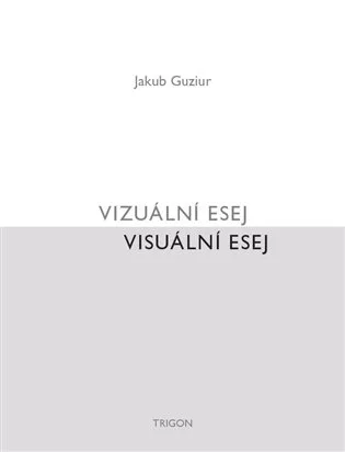 Vizuální esej / Visuální esej