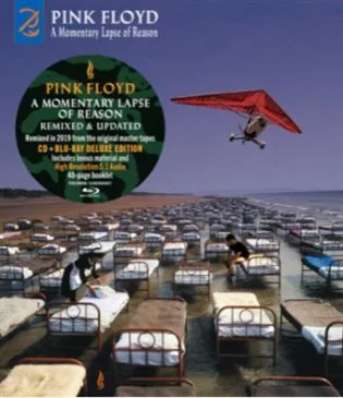 A Momentary Lapse Of Reason