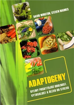Adaptogeny - byliny poskytující odolnost, vytrvalost a úlevu od stresu