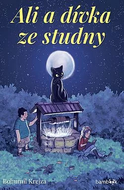 Ali a dívka ze studny