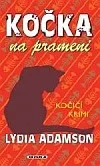 Kočka na prameni