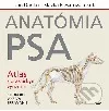 Anatómia psa