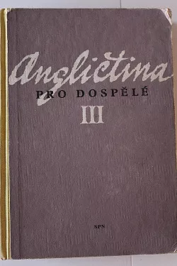 Angličtina pro dospělé III