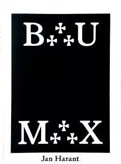 Bau Max