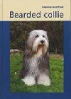 Bearded collie