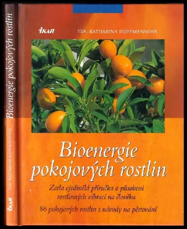 Bioenergie pokojových rostlin
