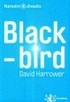 Blackbird