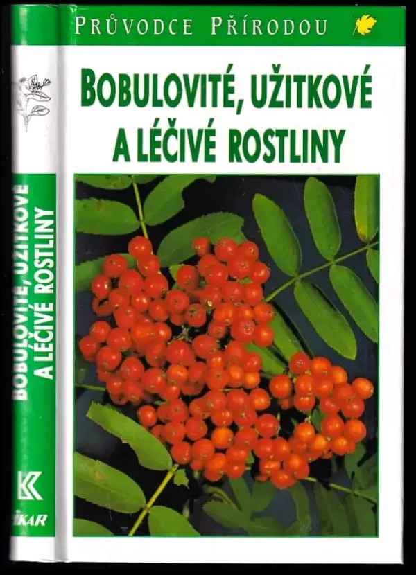 Bobulovité, užitkové a léčivé rostliny