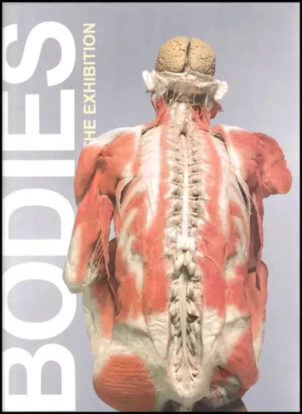 Bodies, the exhibition