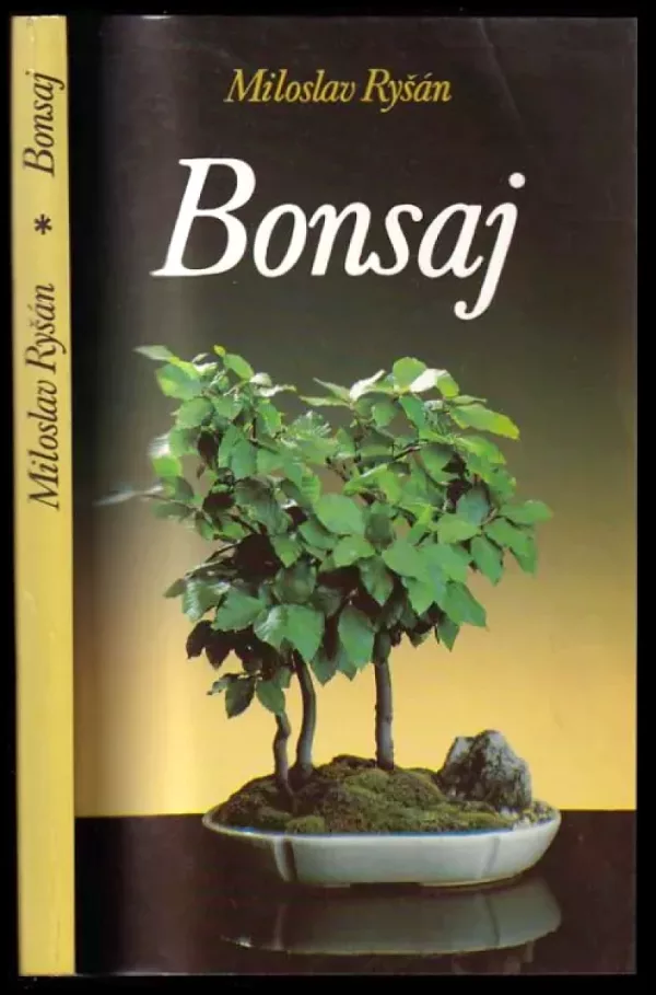 Bonsaj