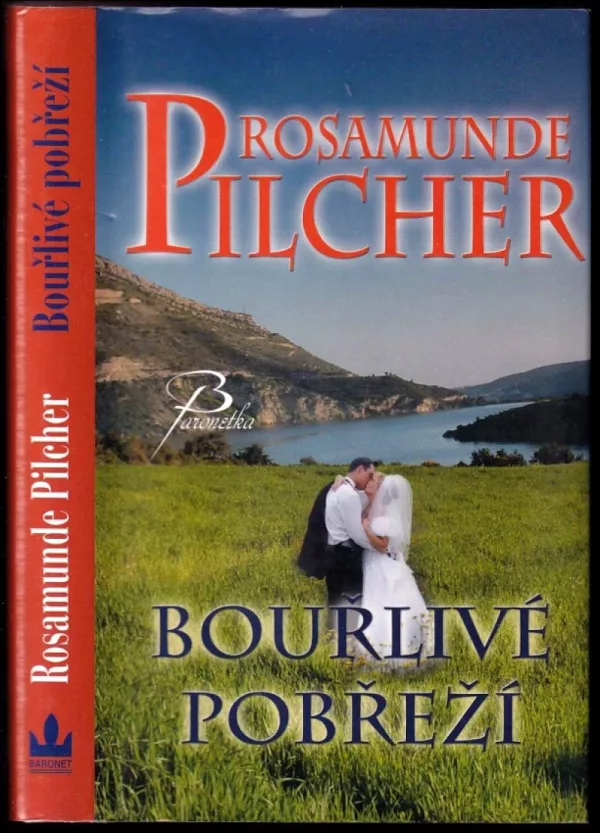 Bouřlivé pobřeží