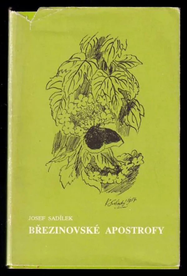 Březinovské apostrofy