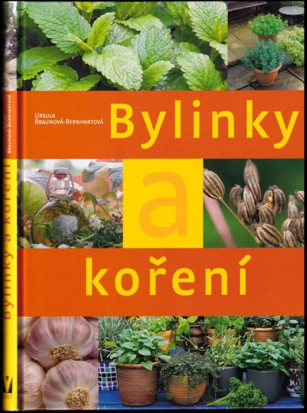 Bylinky a koření
