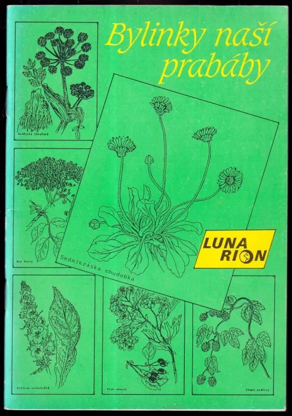 Bylinky naší prabáby