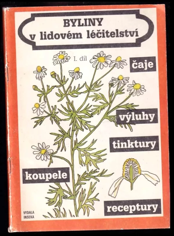 Byliny v lidovém léčitelství