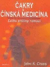 Čakry & Čínská medicína: léčba příčiny nemocí