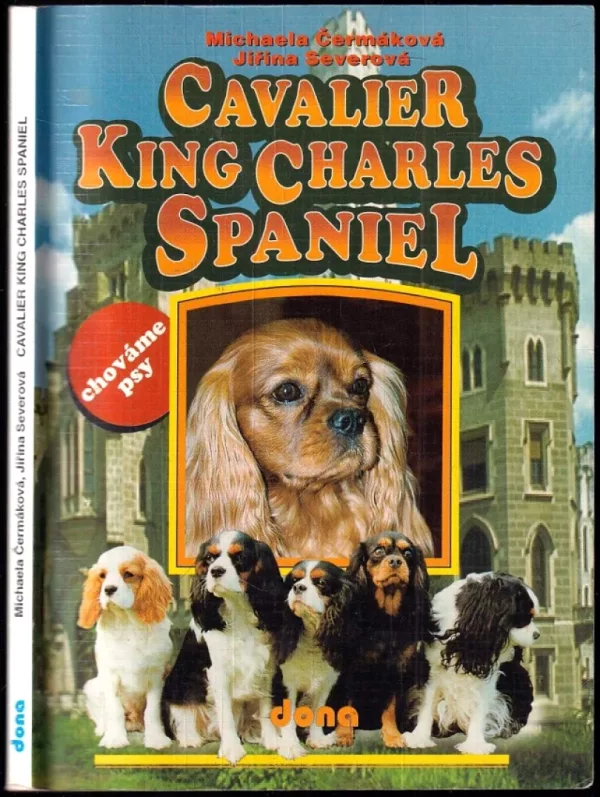Cavalier King Charles Spaniel