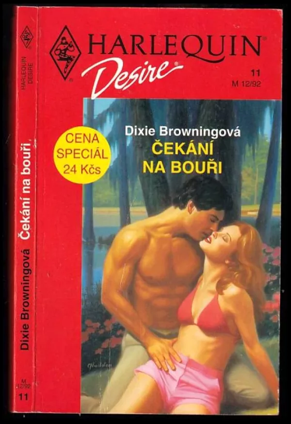 Čekání na bouři