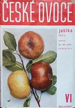 České ovoce. VI, Jablka. Část II.