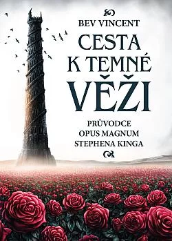 Cesta k temné věži