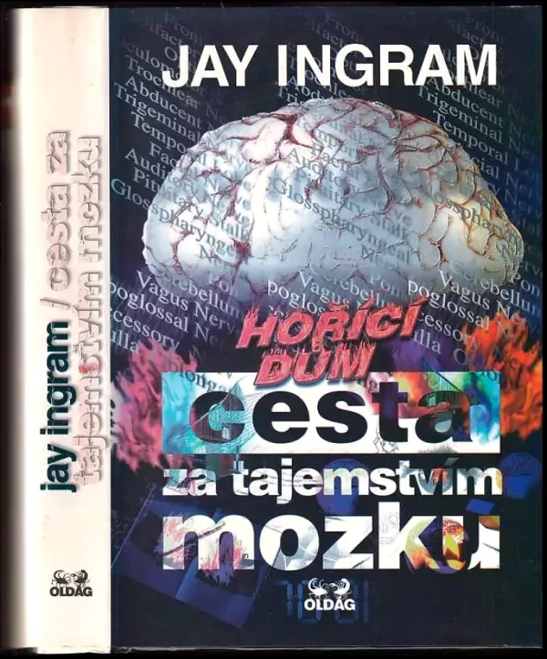 Cesta za tajemstvím mozku