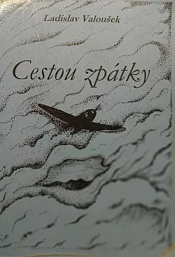 Cestou zpátky