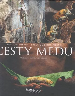 Cesty medu