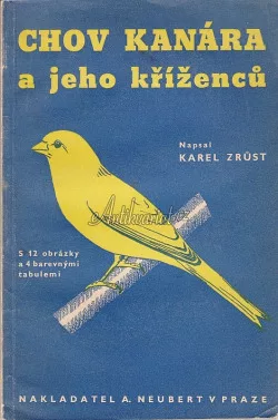 Chov kanára a jeho kříženců