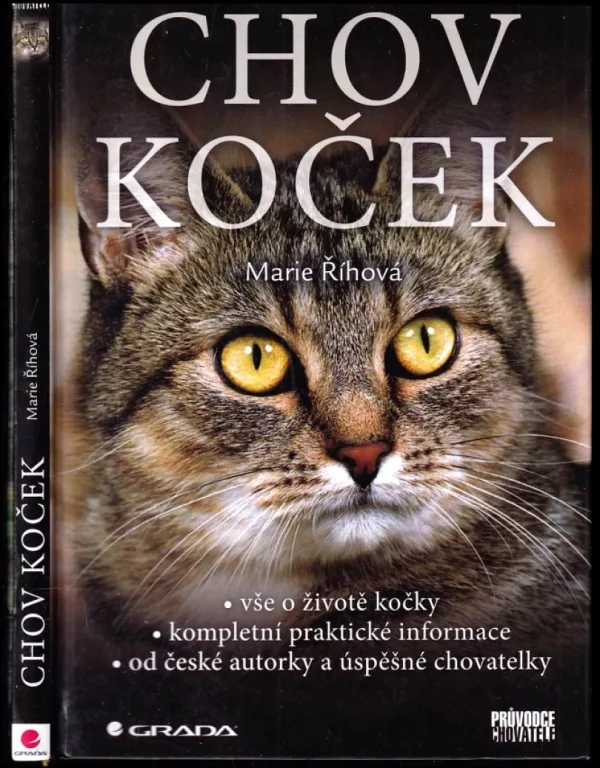 Chov koček