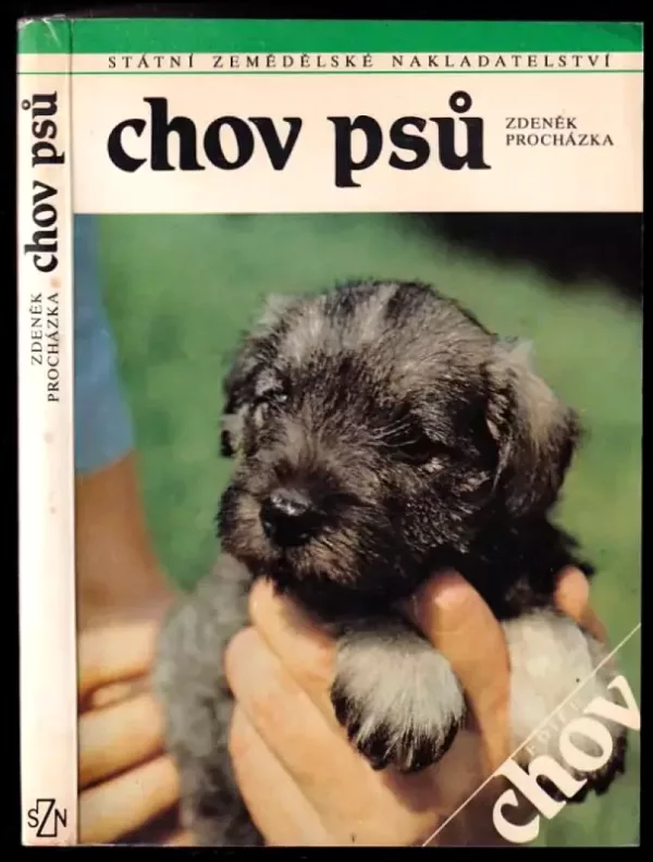 Chov psů