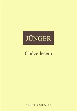 Chůze lesem