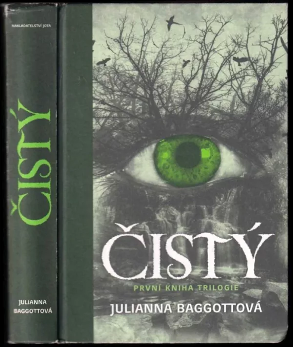 Čistý