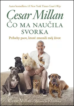 Čo ma naučila svorka