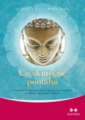 Co skutečně pomáhá