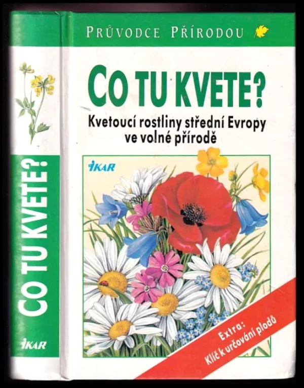 Co tu kvete?