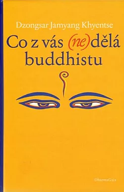 Co z vás (ne)dělá buddhistu
