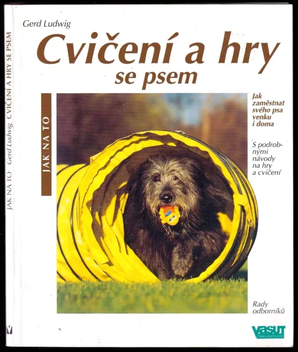 Cvičení a hry se psem